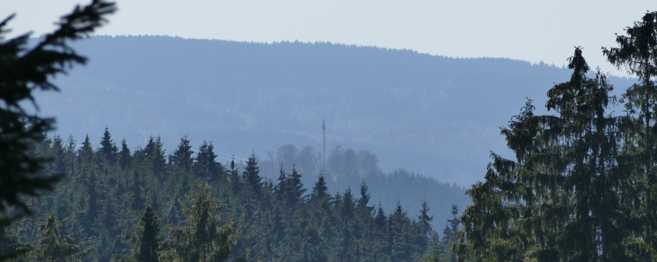 banner17.jpg